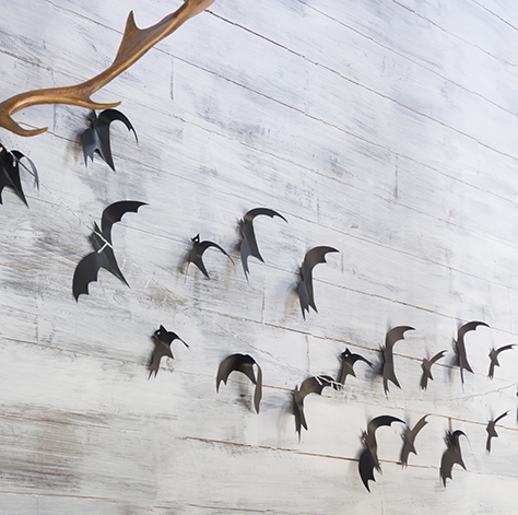 Bats on a Wall